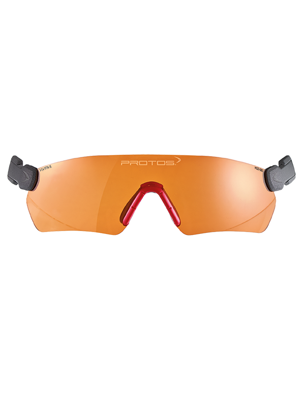 Protos Safety Glasses