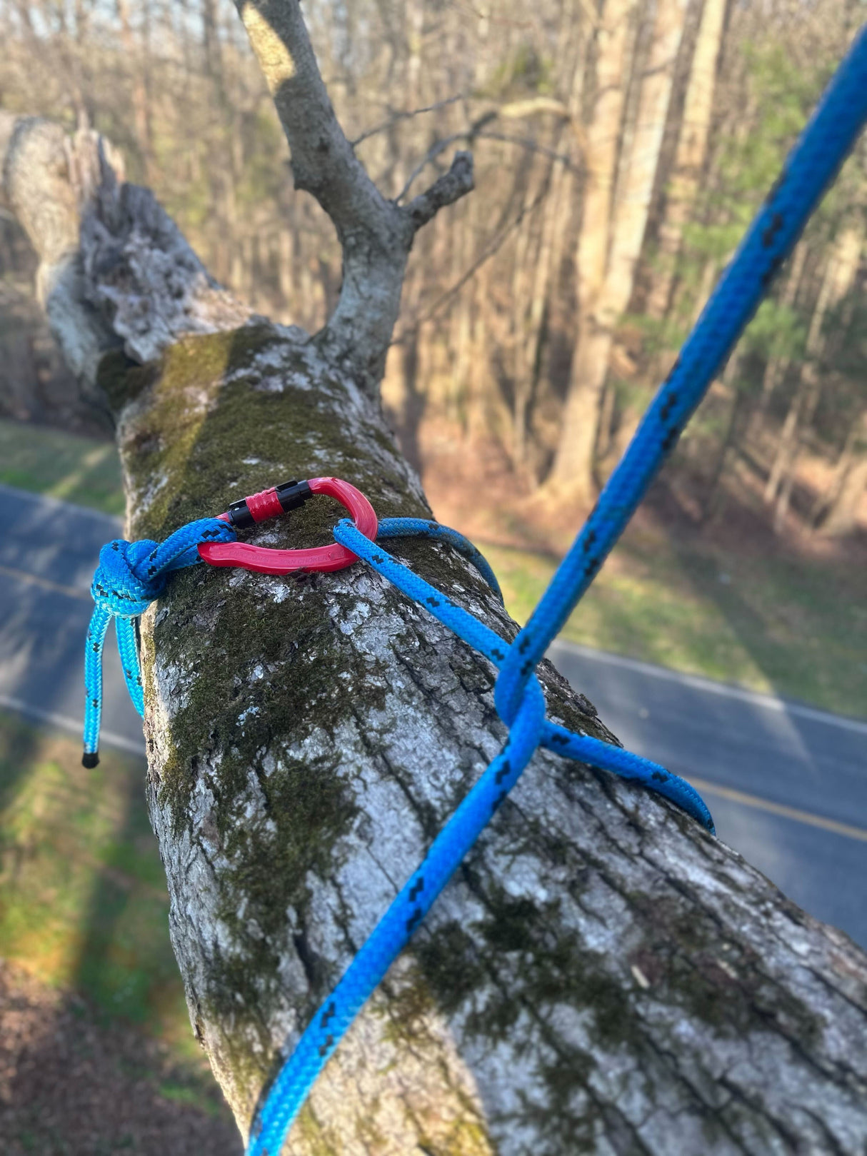 At Height Choker Karbin