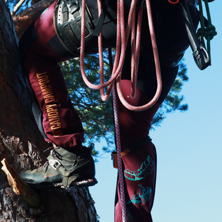 SIP Protection Gecko Big Canopy Campout – Klätterbyxor (Limited Edition)