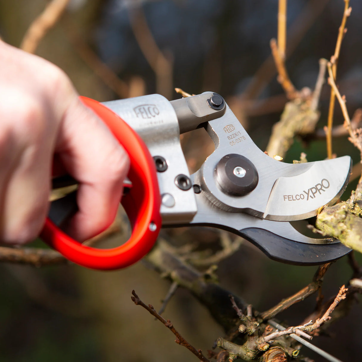 Felco 822+ Batteridriven Sekatör - Komplett set med batteri