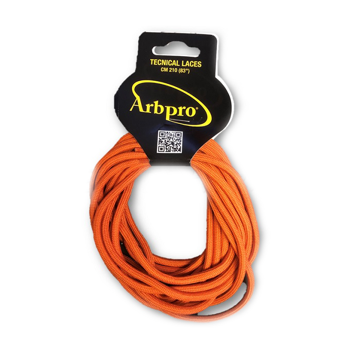 Skosnören till Andrews & Neo