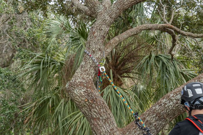 Teufelberger canopyANCHOR