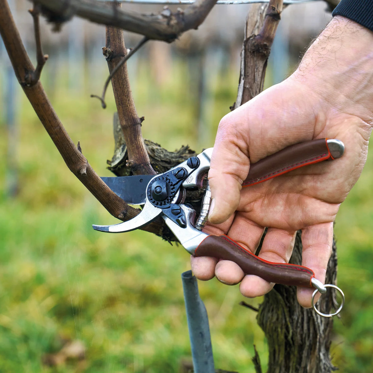 FELCO 6 ELITE Sekatör