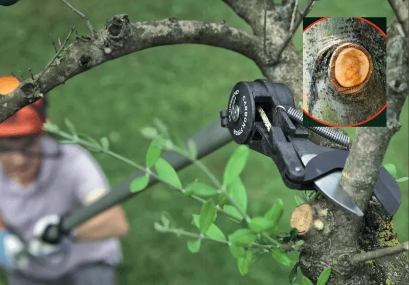 Helium stångsekatör