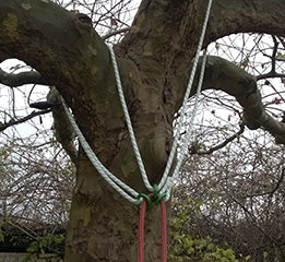 Teufelberger multiANCHOR