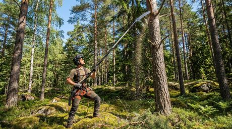 Stångsåg för arborister