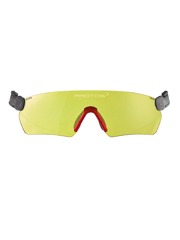 Protos Safety Glasses