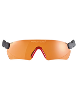Protos Safety Glasses