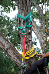 Notch Backbone Knotless