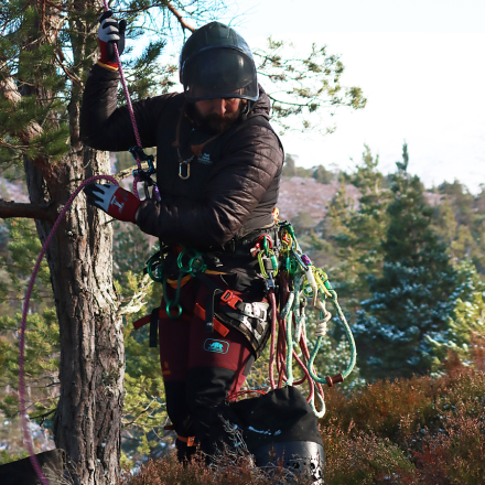 SIP Protection Gecko Big Canopy Campout – Klätterbyxor (Limited Edition)