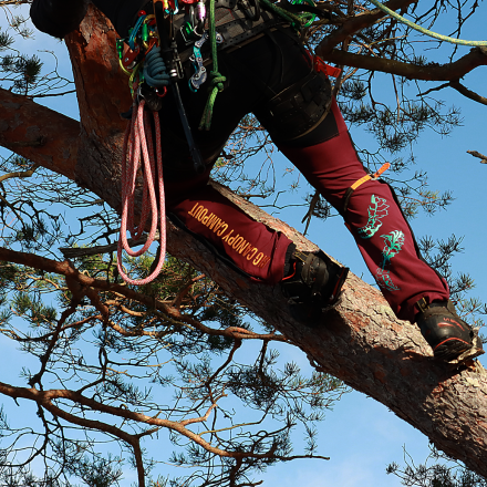 SIP Protection Gecko Big Canopy Campout – Klätterbyxor (Limited Edition)