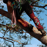 SIP Protection Gecko Big Canopy Campout – Klätterbyxor (Limited Edition)