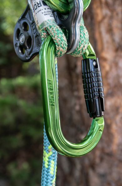 Absolute Oval Carabiner