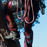 SIP Protection Gecko Big Canopy Campout – Klätterbyxor (Limited Edition)