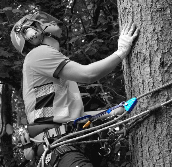 Webbing Loop 22kN 21cm