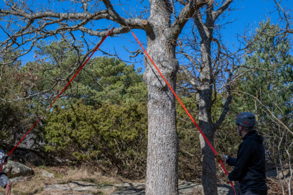 Nordic Pocket Saw – Arboristen 2 (kastsåg)