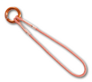 E2E Ring Loop