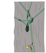 equaLIZA - bild 2