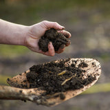 Tree Planting Kompost